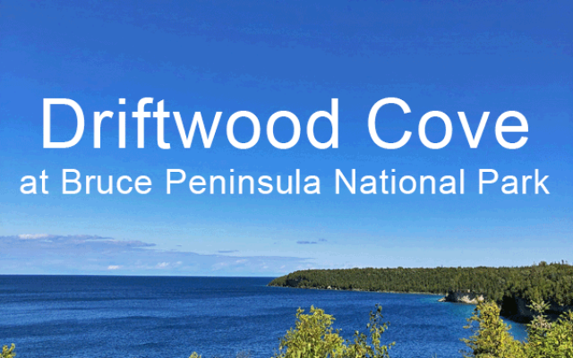 Driftwood cove