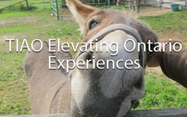 TIAO Elevating Ontario Experiences